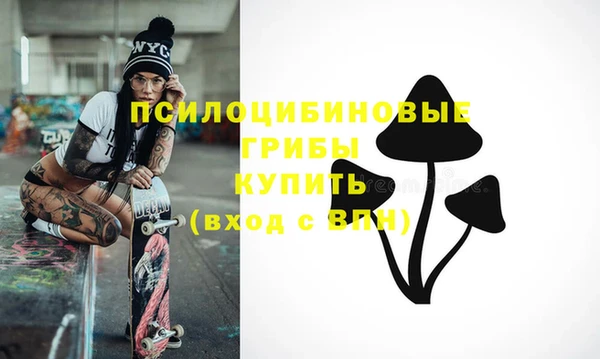 бутират Надым