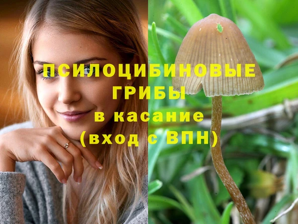 стаф Наволоки