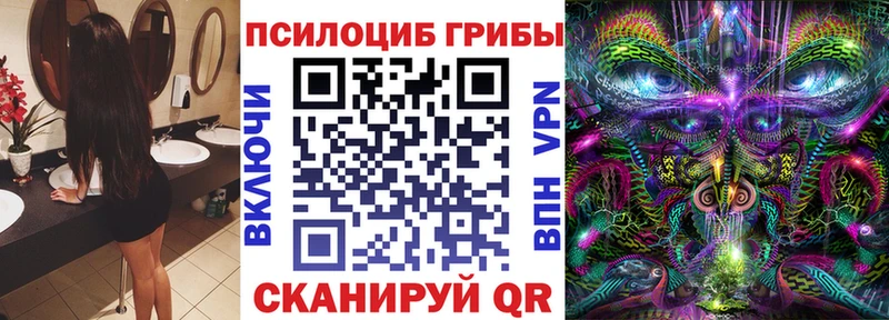 Псилоцибиновые грибы Psilocybine cubensis  купить наркотик  Орёл 
